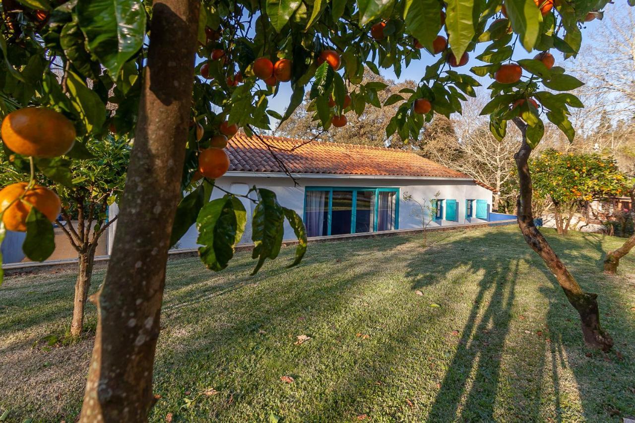 Vale Da Silva Villas - Homes Albergaria-a-Velha Exterior photo